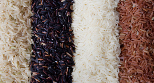 L'Arsenico nel Riso: Guida Completa alla Sicurezza Alimentare e alle Evidenze Scientifiche